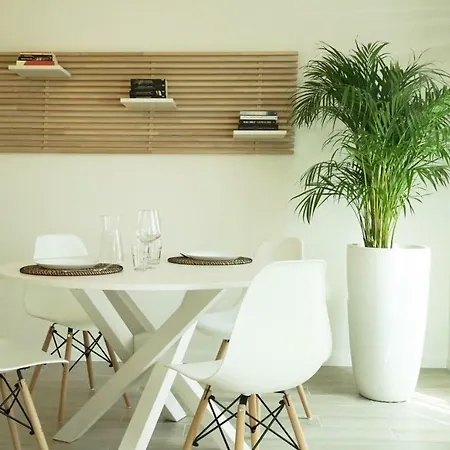 Casa Sisu -