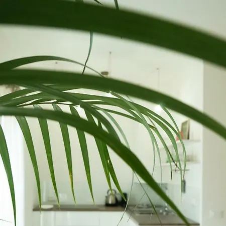 Apartamento Casa Sisu - *