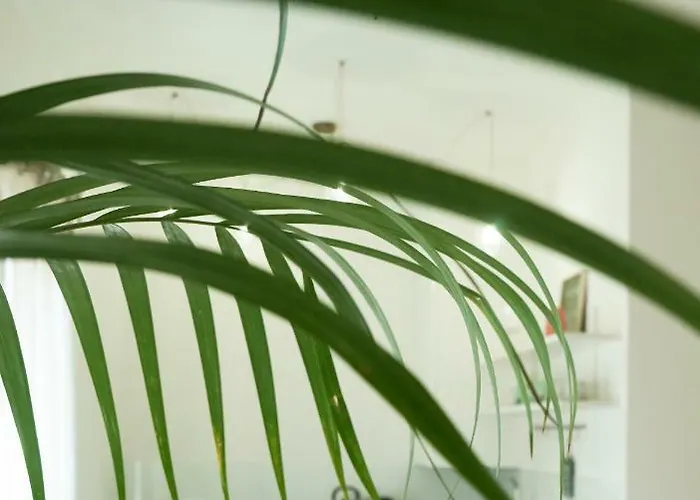 Apartamento Casa Sisu - *